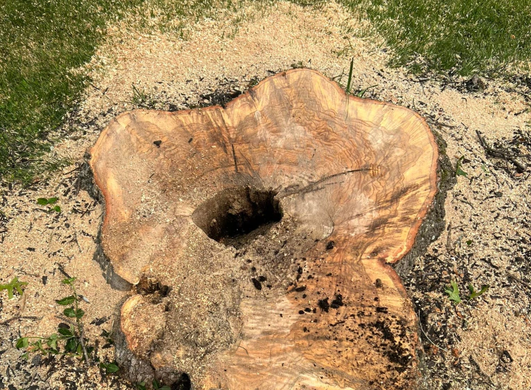 Stump Removal