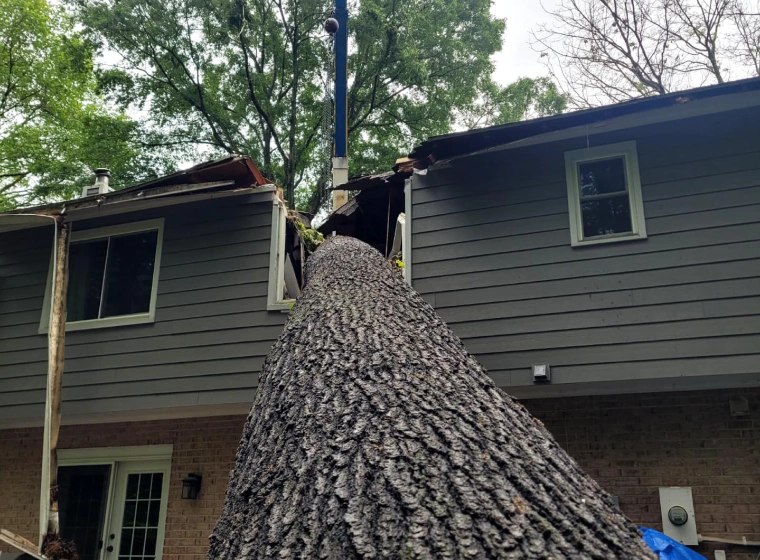 tree emergency service tree emergency service